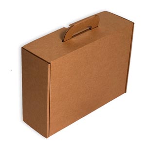 Cajas de Zapatos, ¿Cuáles son las mejores?