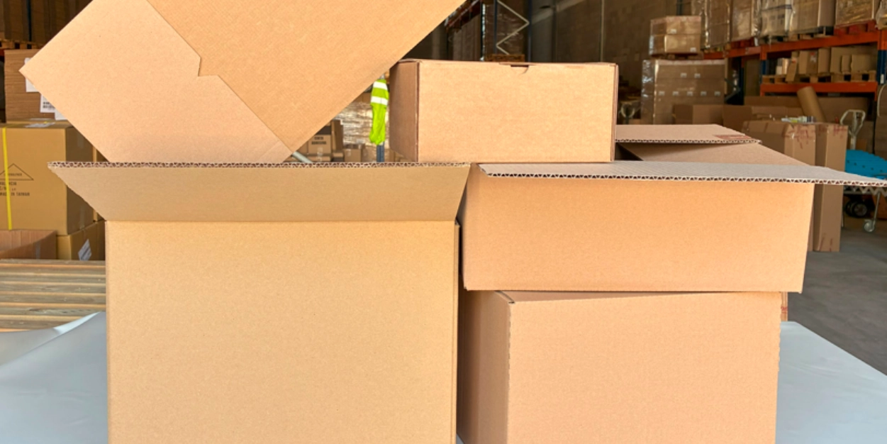 Las 5 cajas más vendidas este verano en cajadecarton.es (y por qué nuestros clientes las adoran)