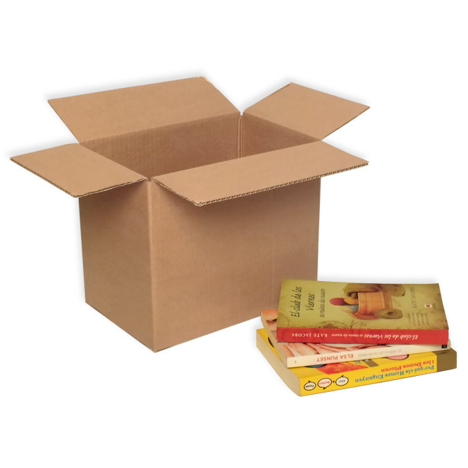 Cajas de cartón 300 x 200 x 260 mm 