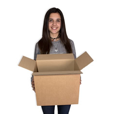 Cajas al por mayor canal simple 310x220x270mm