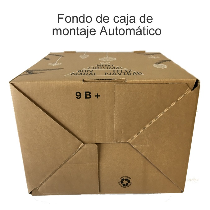 Cajas de Navidad 4 botellas + Lote - Eco