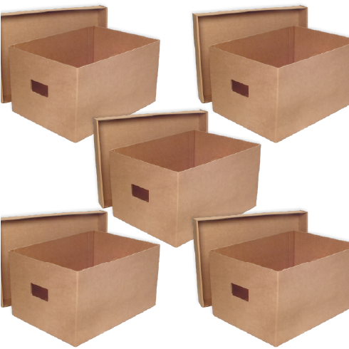 Pack 40 Cajas de Cartón Canal Simple