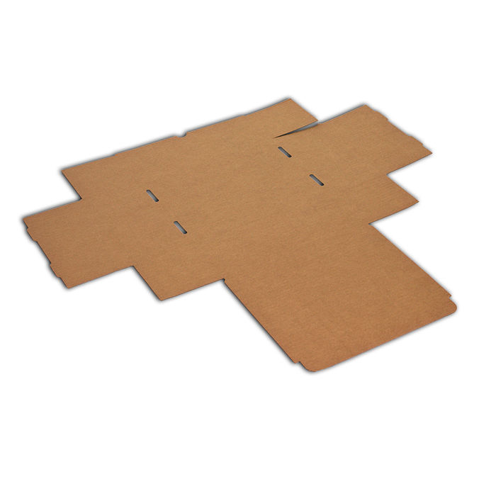 Cajas personalizadas de 250 x 205 x 100 mm