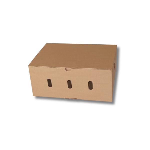 Cajas de cartón para fruta 400 x 300 x 170 mm