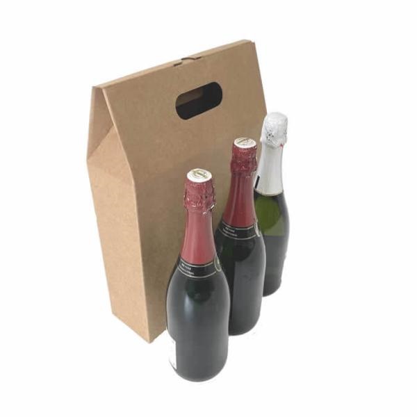 Muestras de caja para 3 botellas con asa 